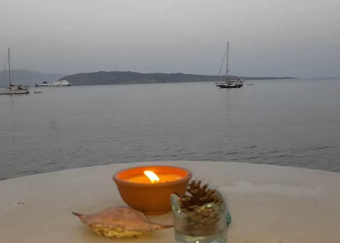 Elsi Upper * 卡拉米